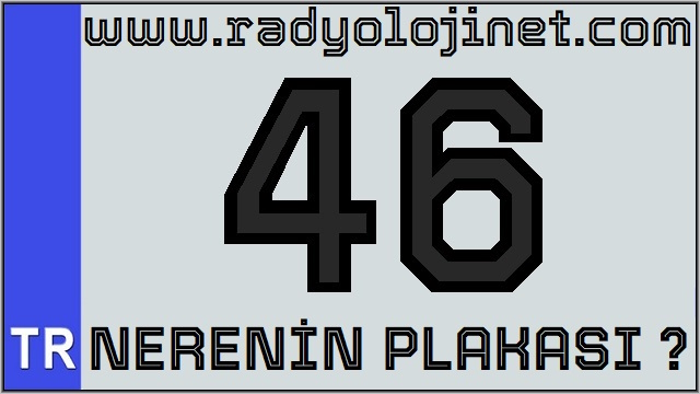 46 Nerenin Plakası ?