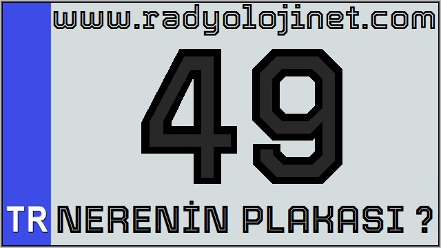 49 Nerenin Plakası ?