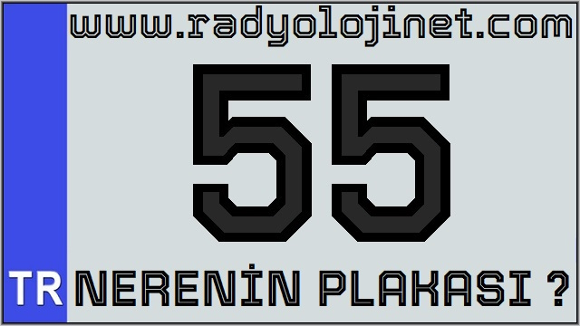 55 Nerenin Plakası ?