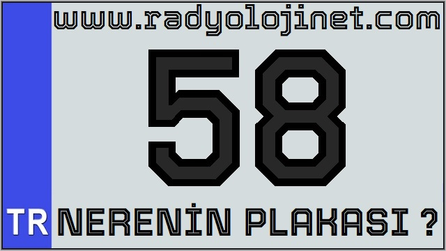 58 Nerenin Plakası ?