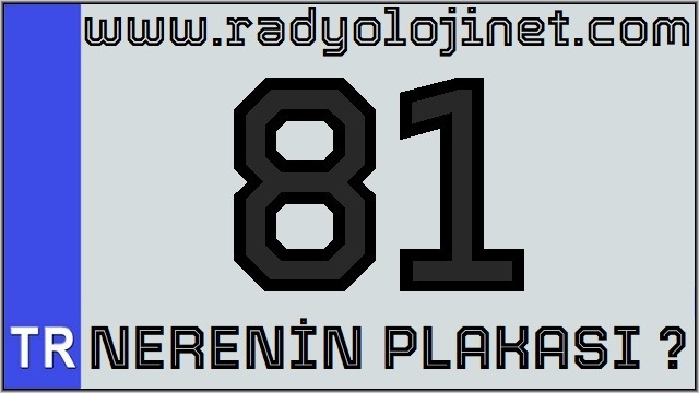 81 Nerenin Plakası ?