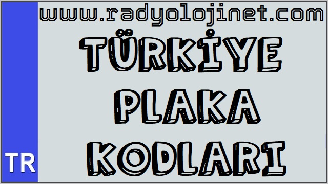 Türkiye Plaka Kodları