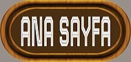 Ana Sayfa