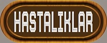 Hastalıklar