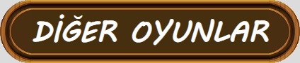 Diğer Oyunlar