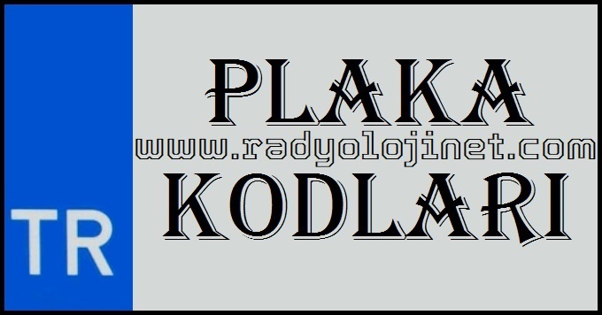 Plaka Kodları